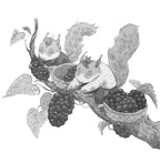 Bravepaw and the Clawstone of Rotwood Mire