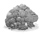 Bravepaw and the Fangstone of Flintfall